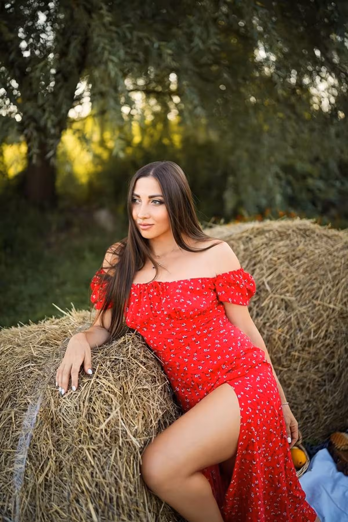 Viktoria telegram group usa